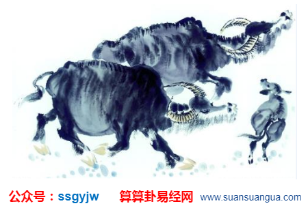 1601046333116779.png 1597031885(1).png