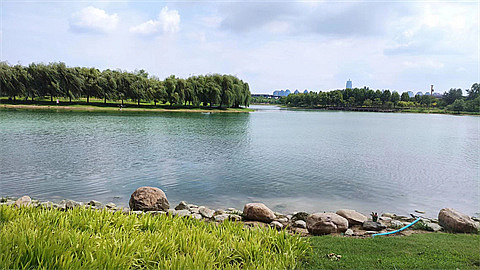 1732160548529004.jpg 7e13932f2188dc461337af7ae4bb931.jpg