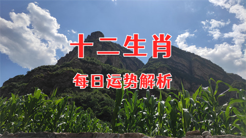 1734017847465321.png 未命名图片 (54).png