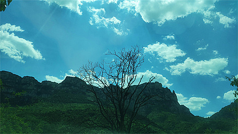 1744902162198048.jpg cc92851d35664f17aa7f3d71c0cd6a8.jpg