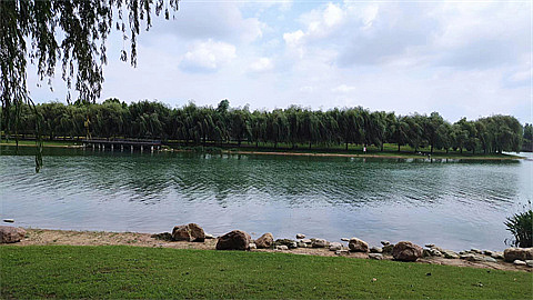 1744990539662700.jpg d5c3ab270371cf25d0dfee783ffad84.jpg