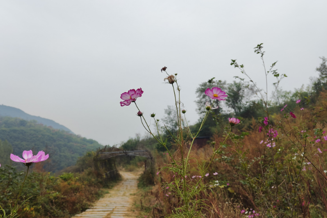 1748268862301227.png 1748255676560.png