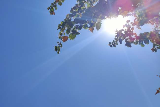 1748268944275559.png 1748181848503.png