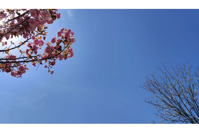 1748269006821396.png 1748219530079.png