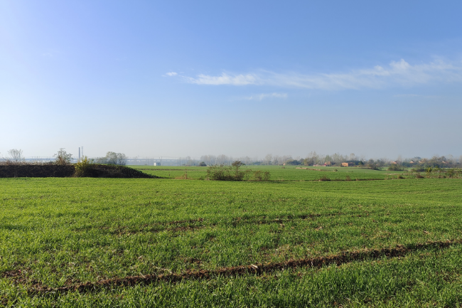 1748269114473972.png 1748245300892.png