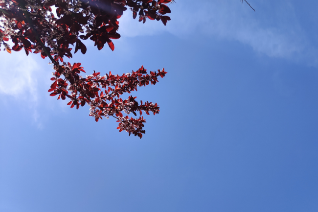 1748269796631240.png 1748220400546.png