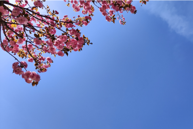 1748270139196760.png 1748219871902.png