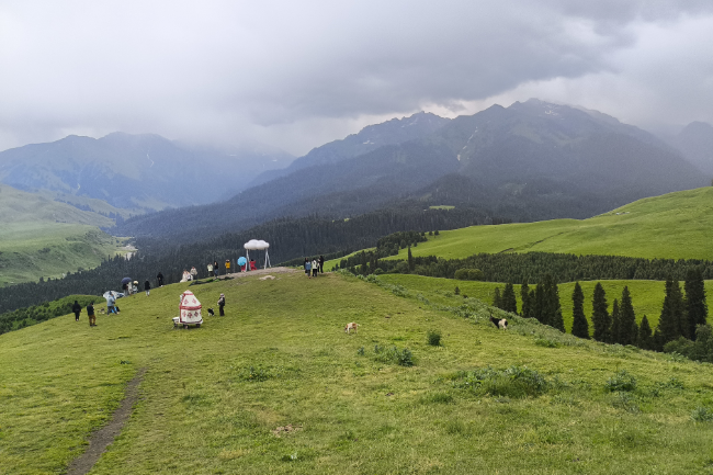 1749747534685004.png 1749014398825.png