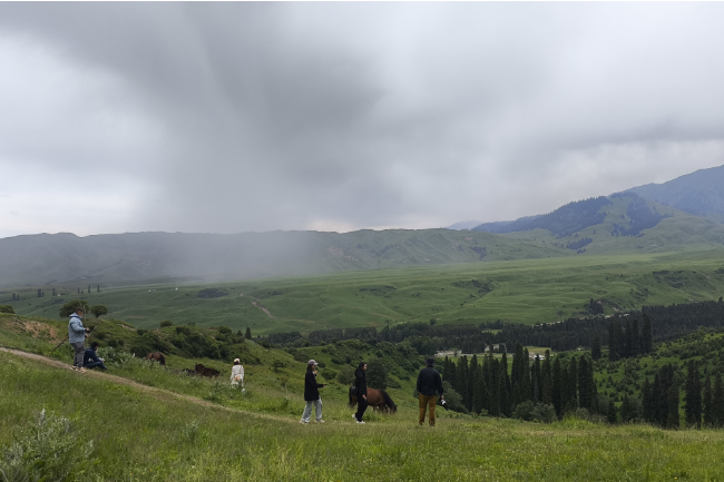 1749747744896003.png 1749019726810.png