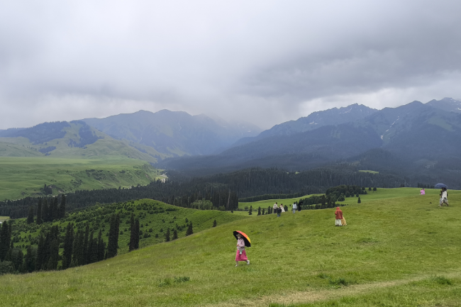 1749747828204217.png 1749019404484.png