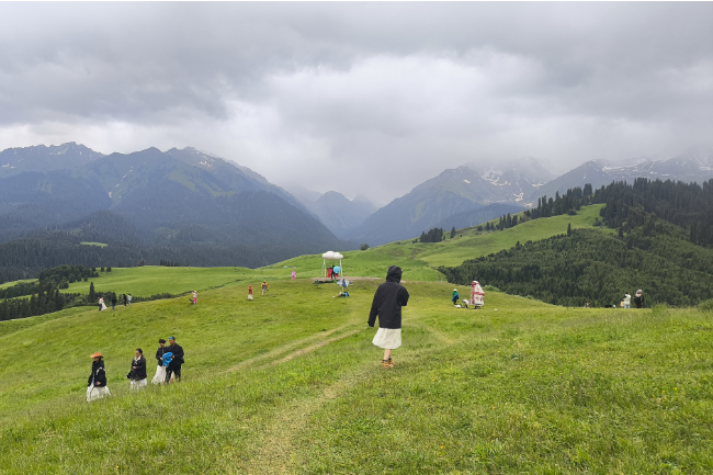 1749747973757965.png 1749019592951.png