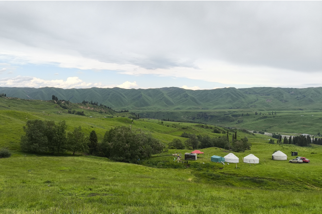 1749823732425305.png 1749027484653.png