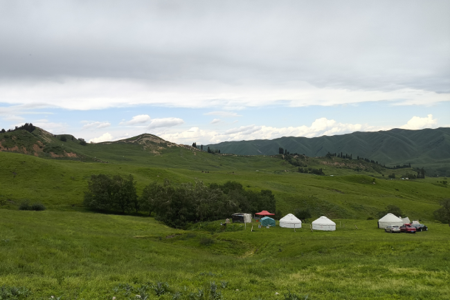 1749824668265610.png 1749027759366.png