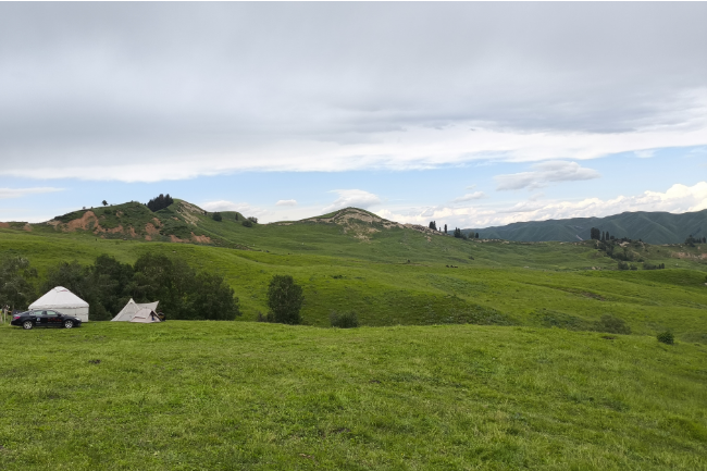 1749825724400726.png 1749029703063.png