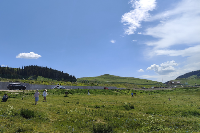 1750044277187036.png 1748441833344.png