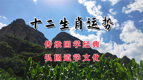 1751250054743678.png 未命名图片 (87).png