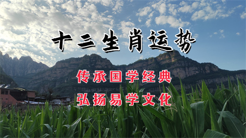 未命名图片 (100).jpg