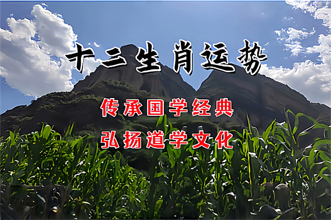 1758332220820510.jpg 02cbda68-a3a0-4f8b-9382-2325c7a3236f.jpg