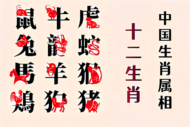 1760670313675029.jpg 未命名图片1.jpg