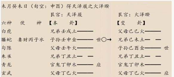 1764664352604248.png e0126a02-34e7-4e2b-a07a-5619d6ced999.png