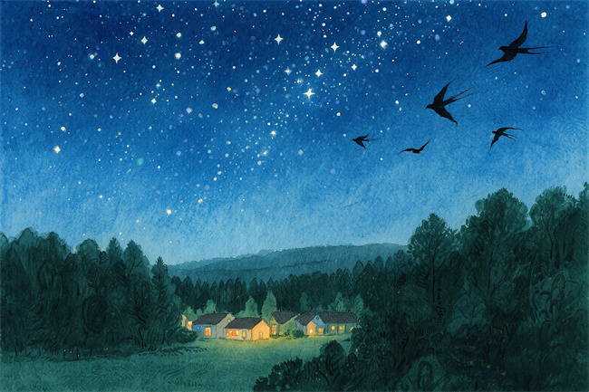 1765119262694368.jpg 微信图片_20250704121808.jpg