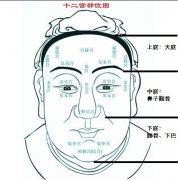 新浪星座算命网_什么叫天庭饱满地阁方圆？