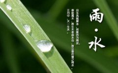 雨水是什么日子，雨水节气是<font color=