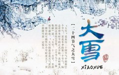 2019年大雪前一天十一月十一适合出行吗,今年大雪几月几日？