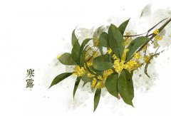 寒露节气风俗吃<font color=