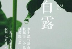 白露节气是什么意思,<font color=