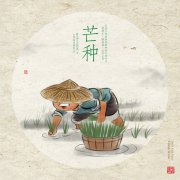 芒种是什么节气？芒种三候是什么？