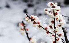 立冬节气有什么禁忌吗？立冬禁忌