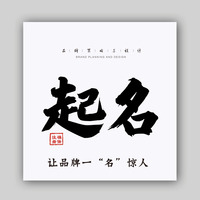 公司企业命名商标起名品牌注册名字商标LOGO取名设计起名标志取名