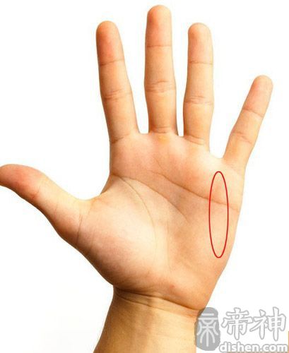 掌纹图解大全 男人左手手相各种解析(图文)