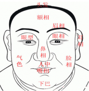 相面算命_面相解析丰颔重颐旺夫兴家