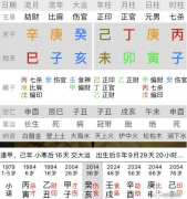 八字在线测算_己未丁卯庚寅丙子男春生带财杀财运何时到来