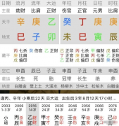 八字在线测算_癸未丁巳庚寅庚辰男不喜学习今后何处创业