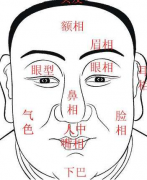 看相算命网_傍富婆的男人从面相上看有什么共同的特征