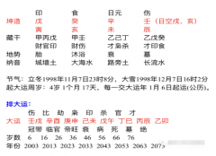 生辰八字算命_戊寅年出生的2020年可以事业有成！