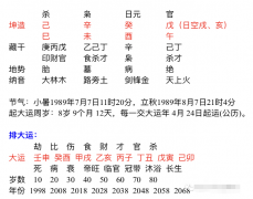 四柱八字排盘_从八字看2020年财运怎样