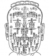 相面算命_大师解说头发粗糙的人性格如何？（面相）