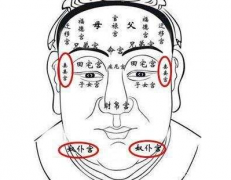 看相算命图解_面相十二宫之_奴仆宫(面相)