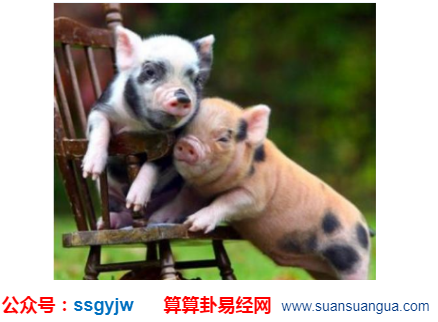 1599439354117046.png 1597037879(1).png