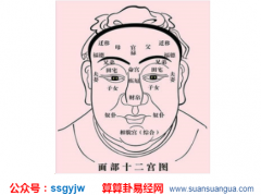 面相算命_解说面相各个部位与运势的关系（面相）