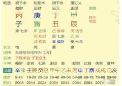 易经八字算命丁丑日柱的八字：财星<font color=