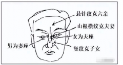 网上真人算命一条街：面相看婚姻