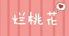 四柱八字中的<font color=