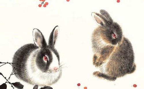 1667192402447272.jpg 1648175711632390.jpg