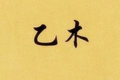 八字命理：乙木生于<font color=