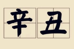 八字命理：辛丑日柱是上等日柱吗